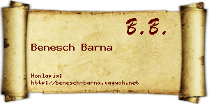 Benesch Barna névjegykártya